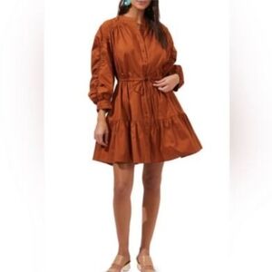 Astr Cognac Shirtdress
